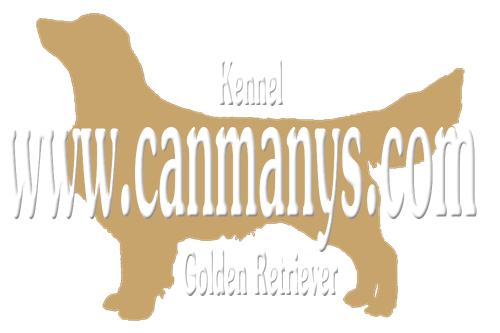 LOGO WWW.CANMANYS.COM